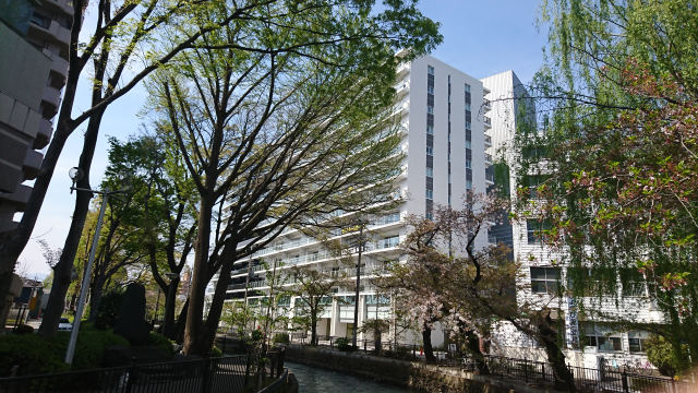 シティテラス前橋広瀬川