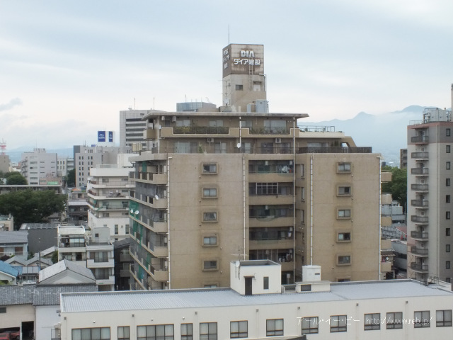 ダイアパレスステーションプラザ前橋